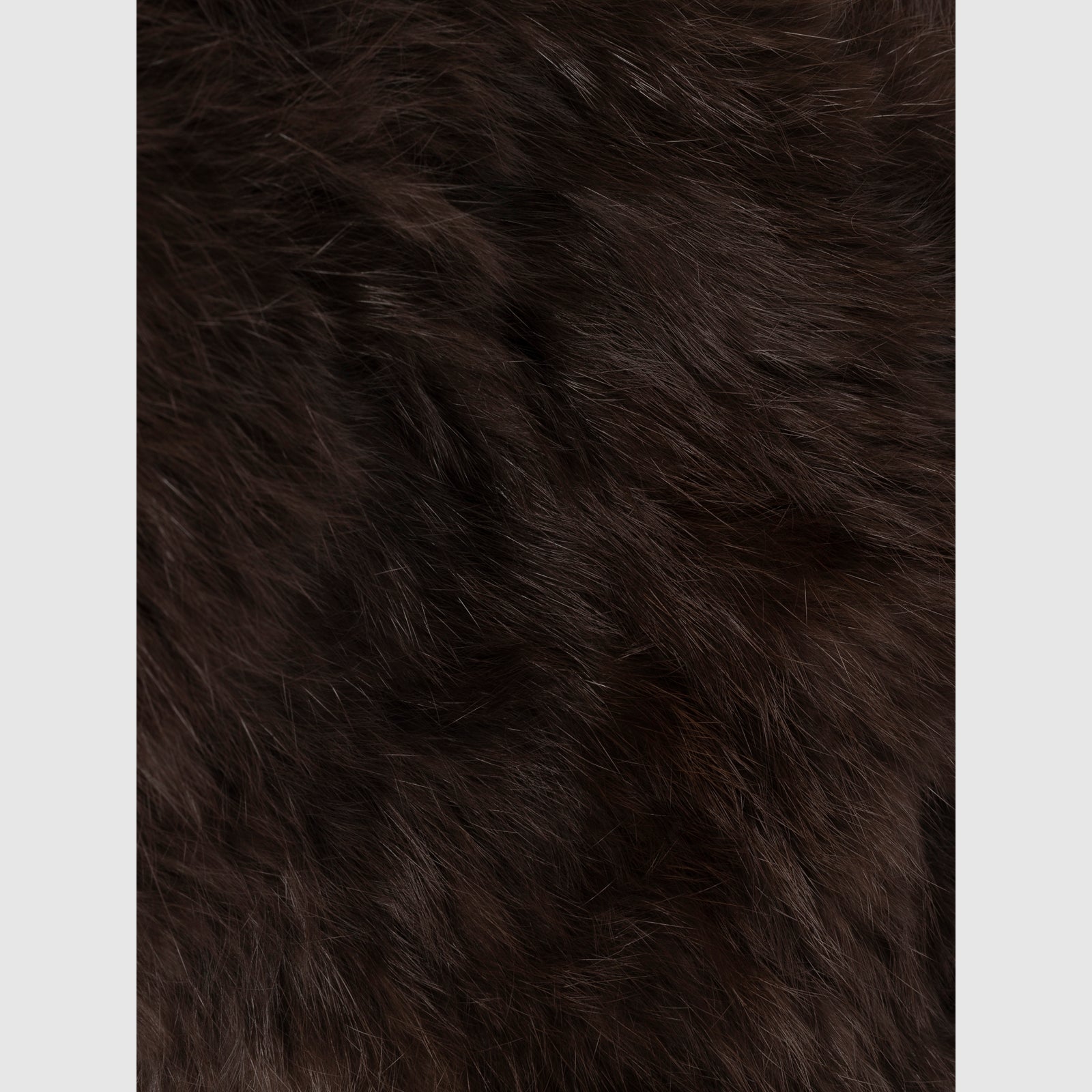 cheveux ébouriffés