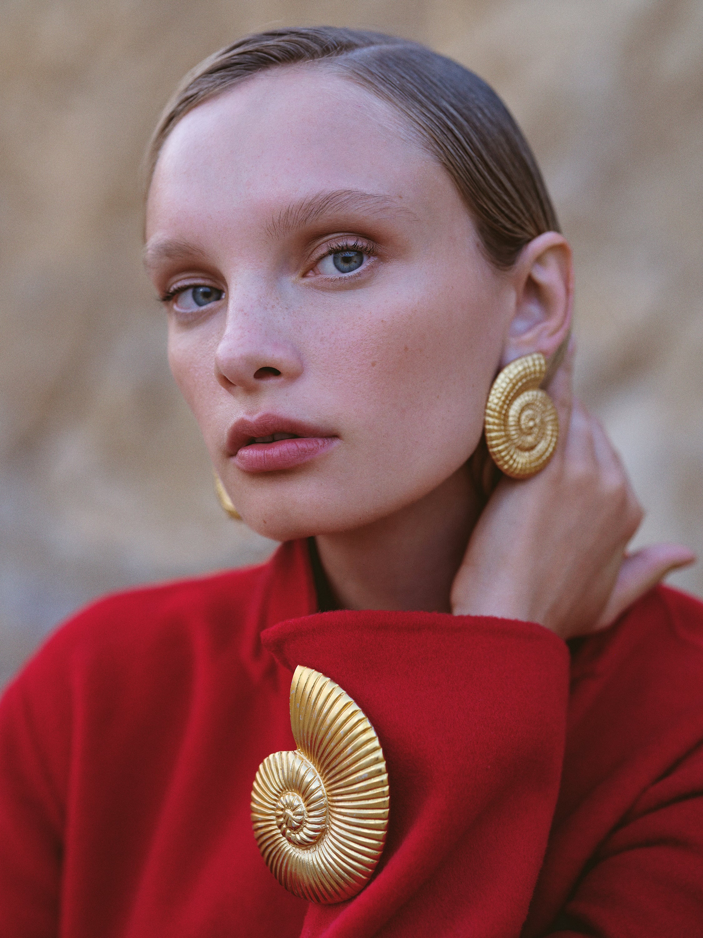 Ammonite golden brooch