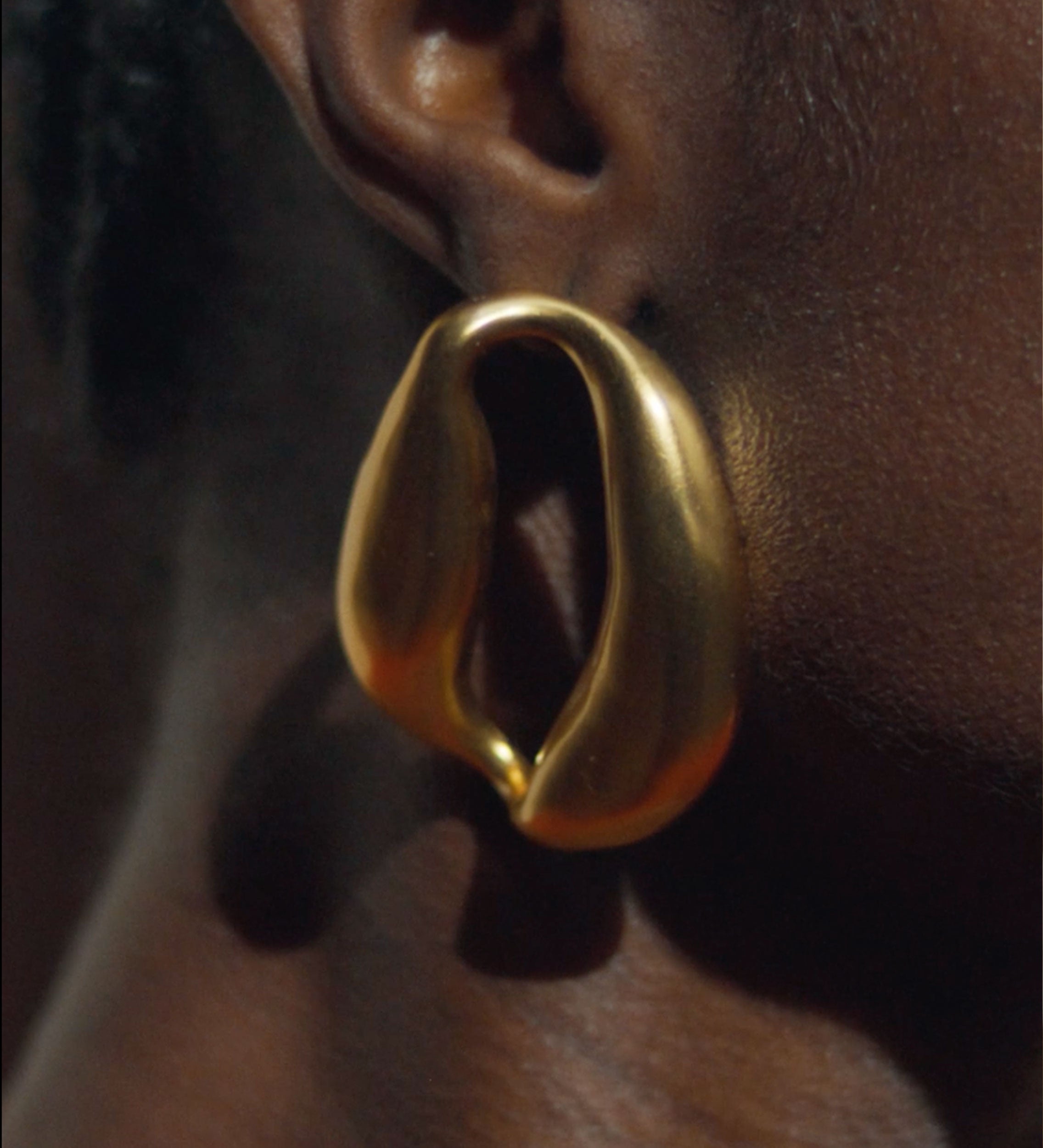 Link earring