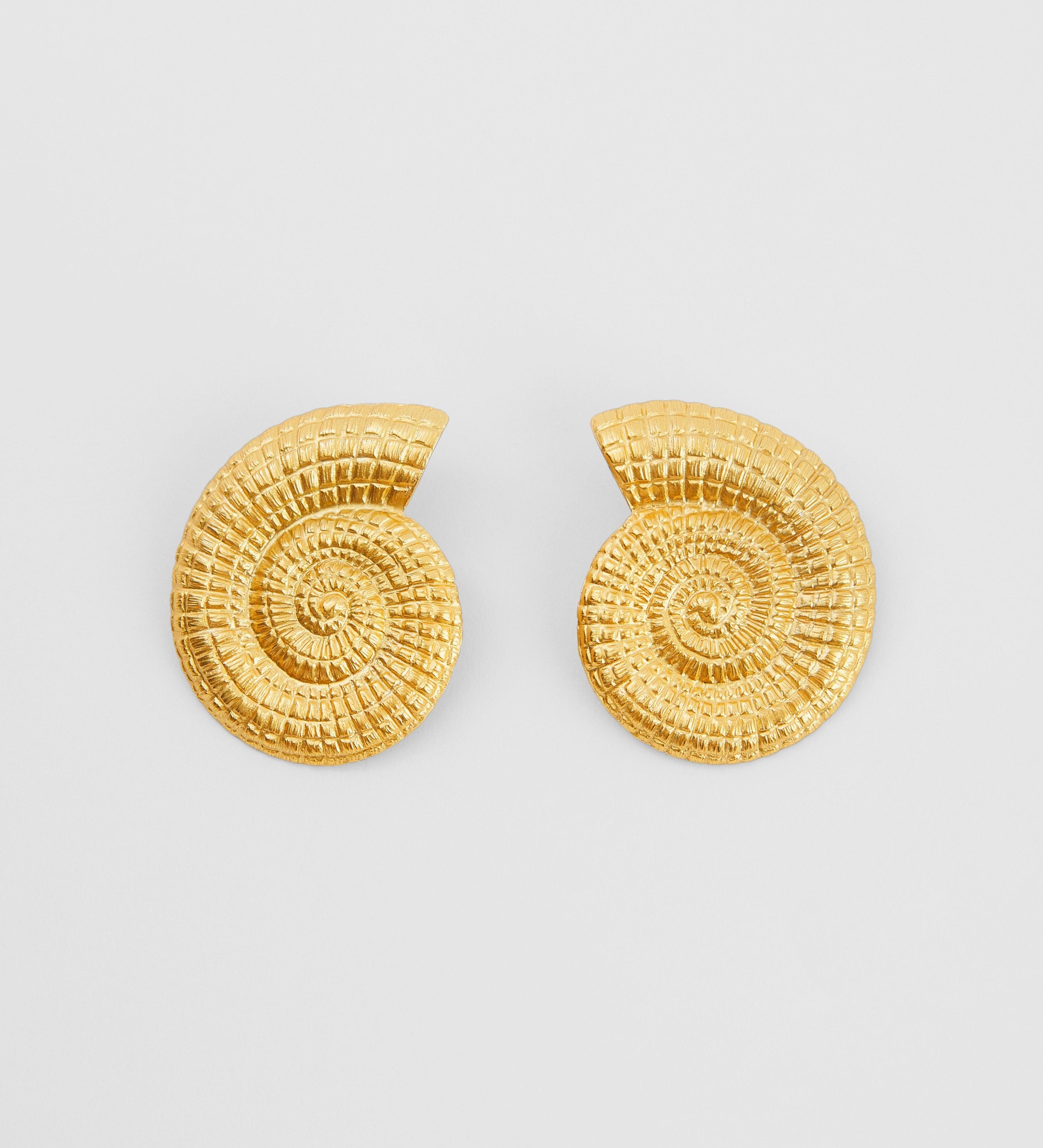 Boucle d'oreille ammonite