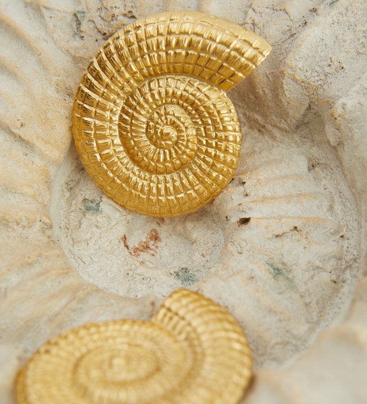 Boucle d'oreille ammonite