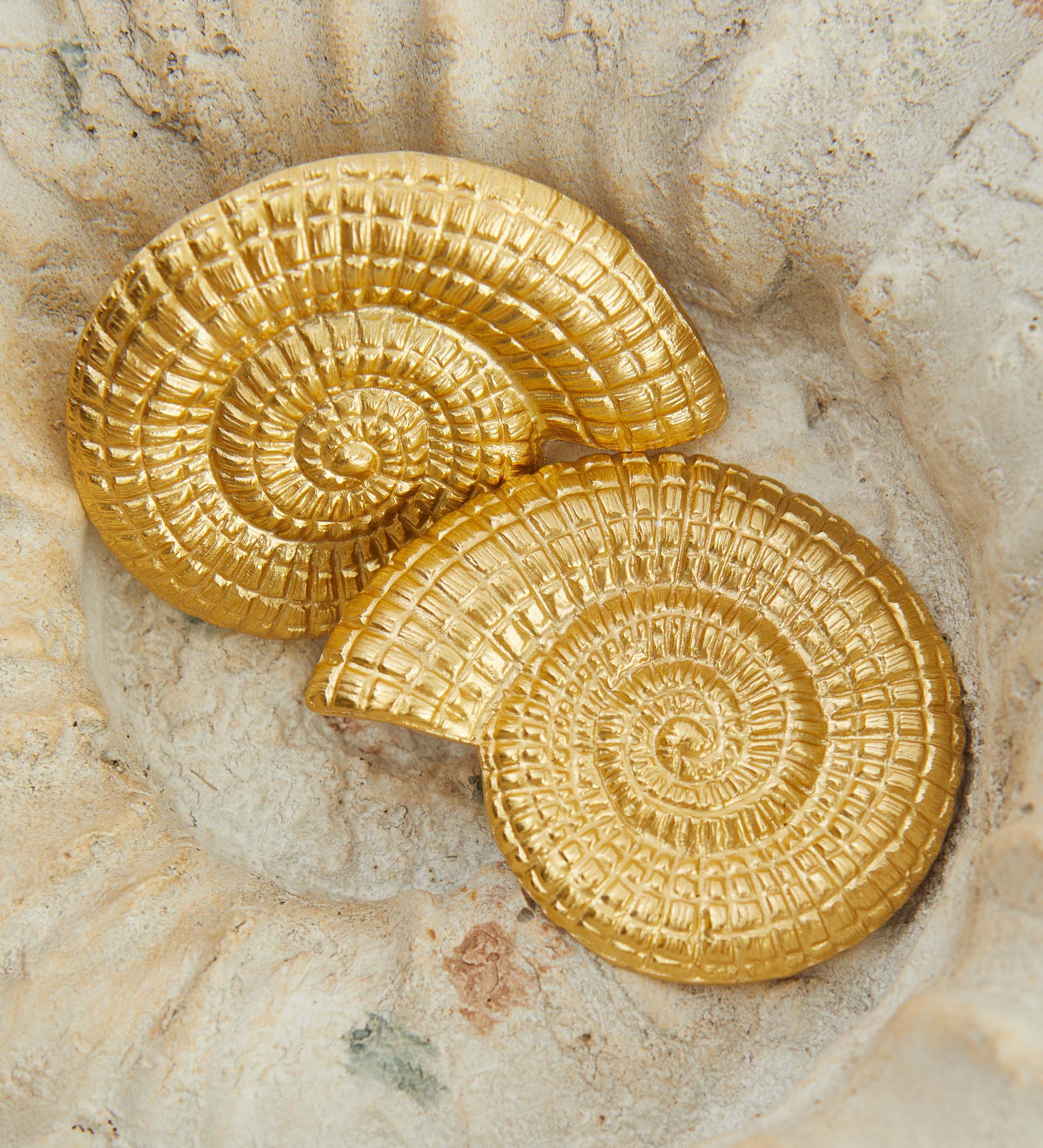 Boucle d'oreille ammonite