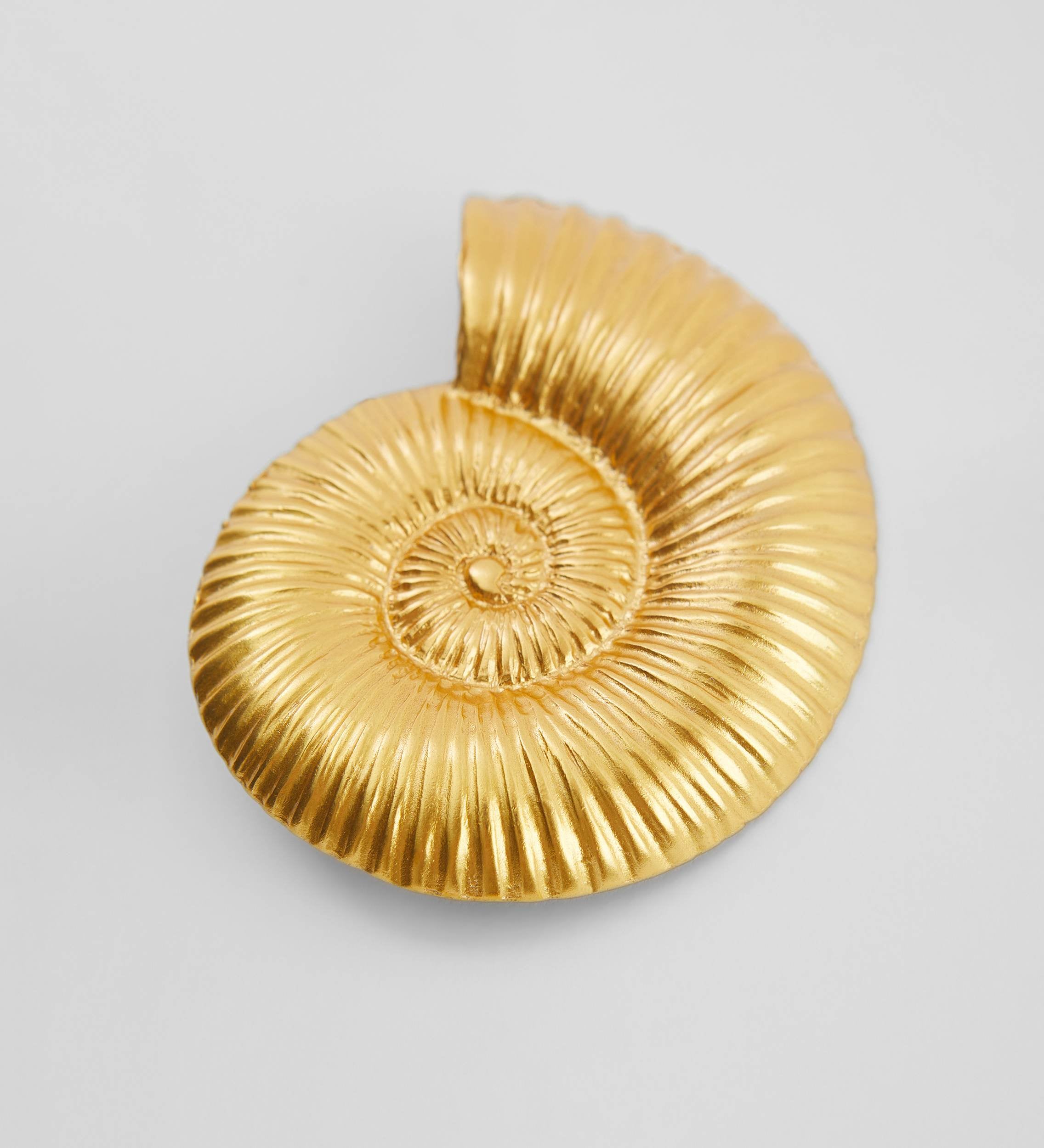 Ammonite solidarity brooch