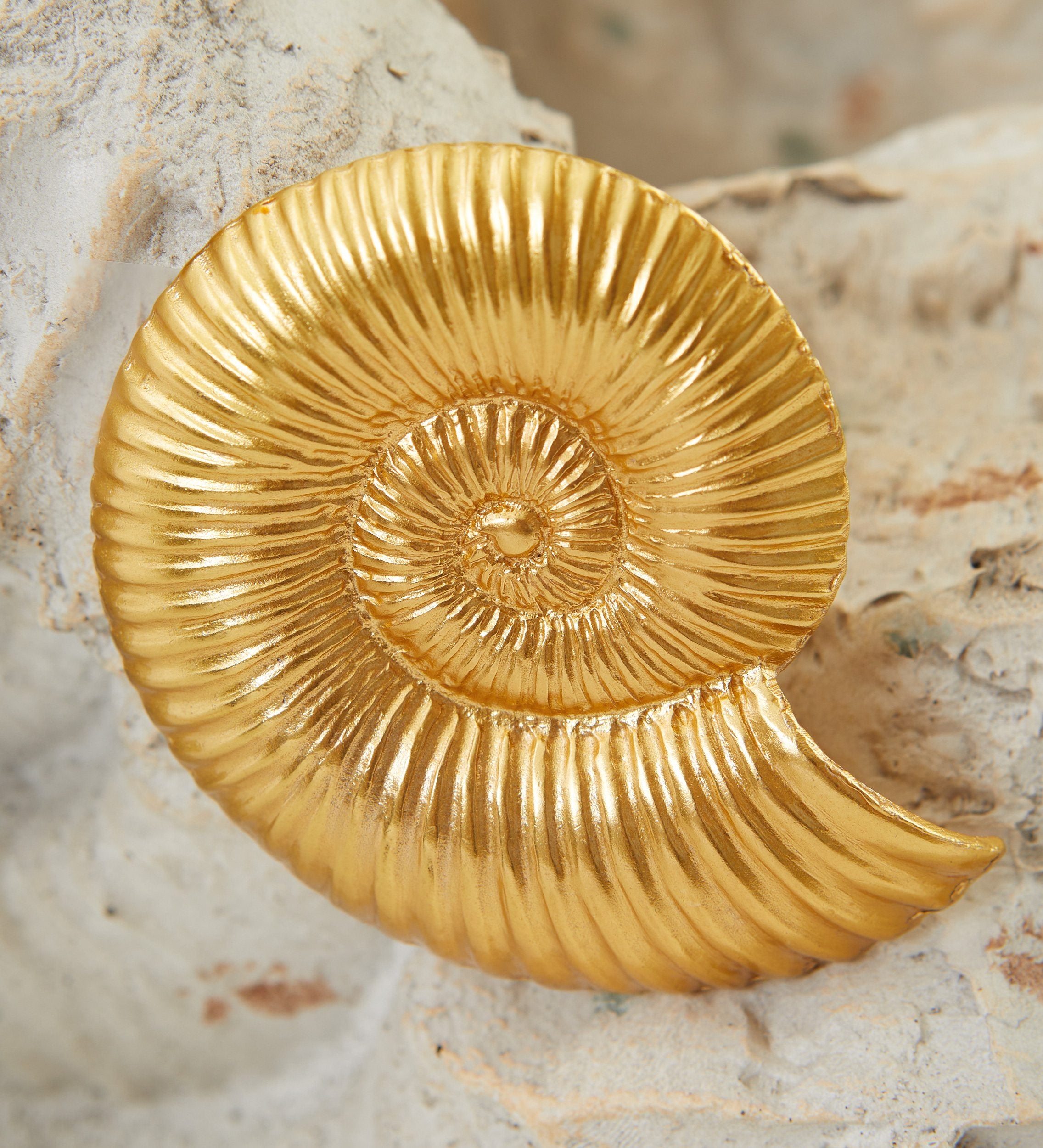 Ammonite solidarity brooch