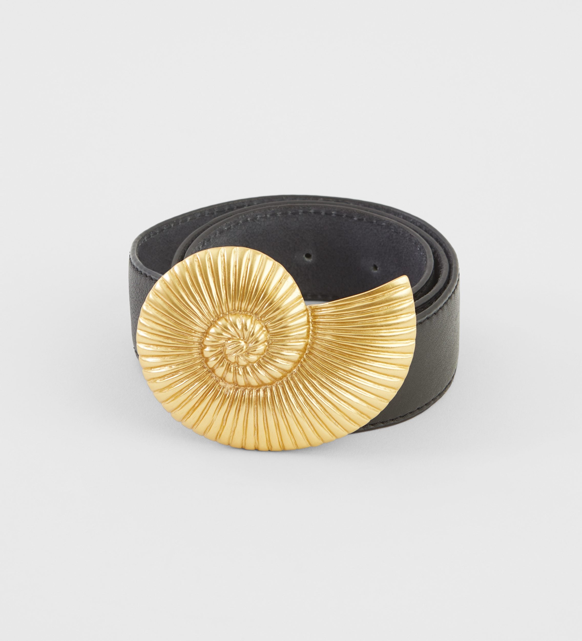 Ammonite buckle belt