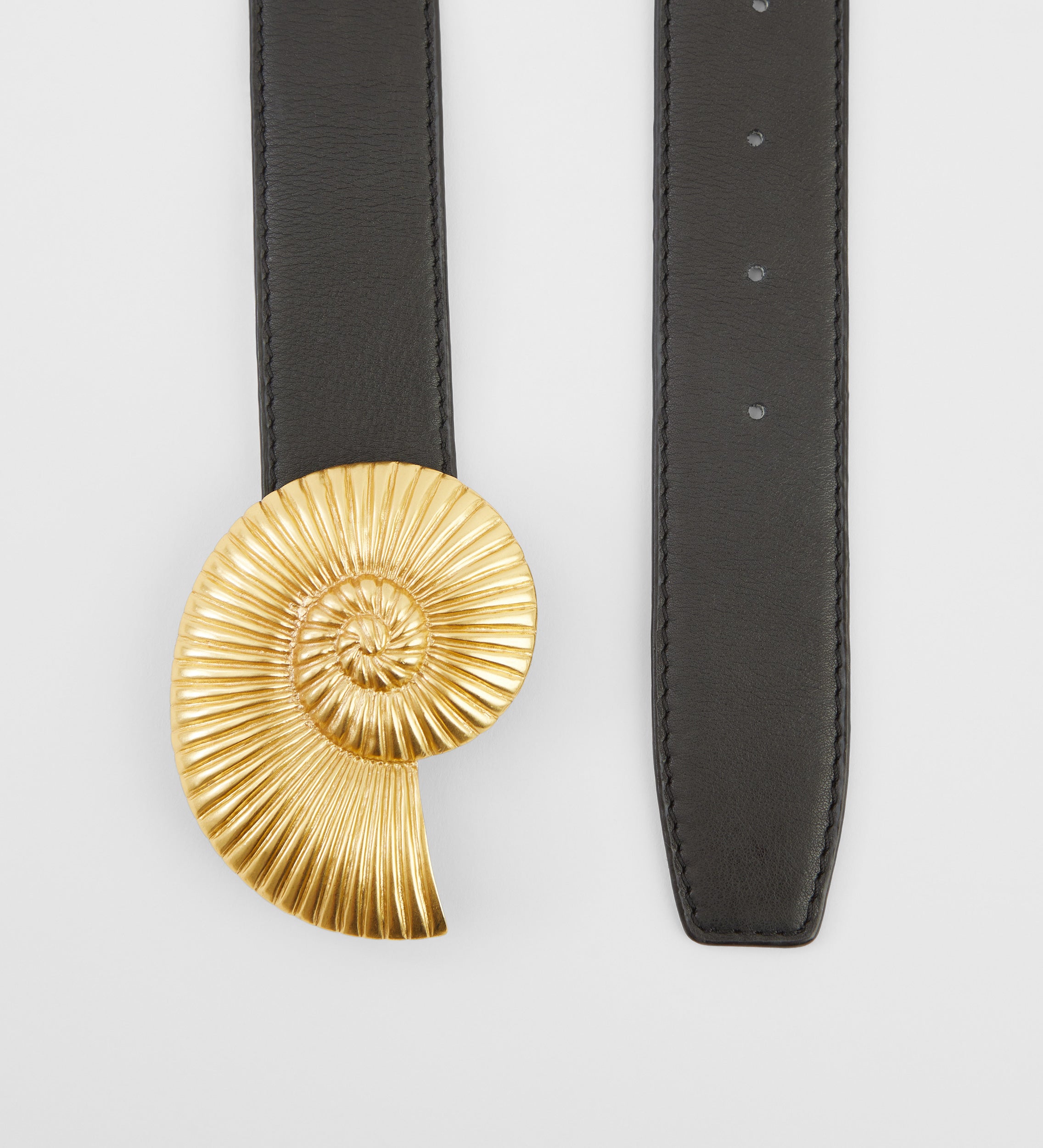 Ammonite buckle belt