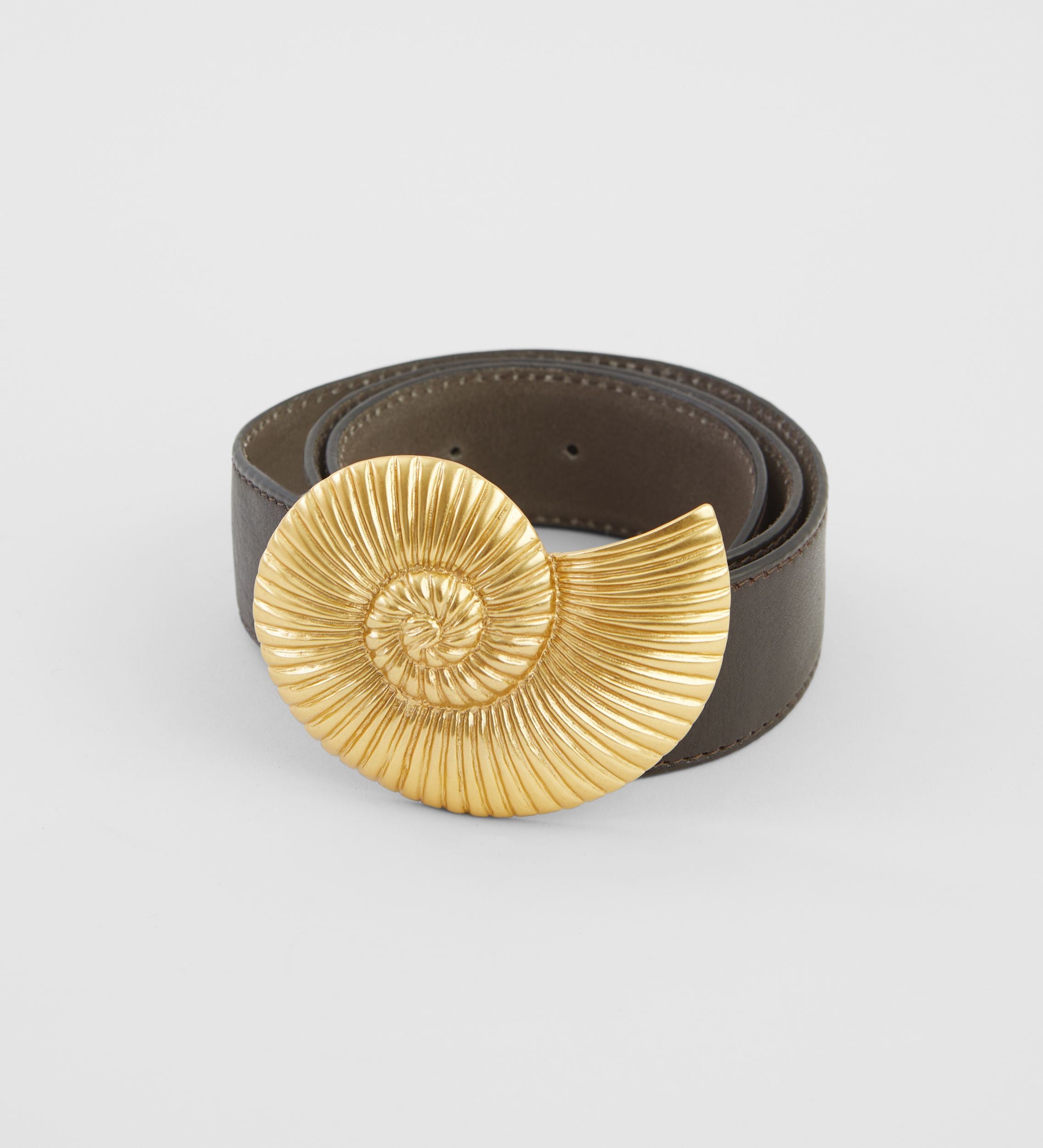 Ammonite buckle belt