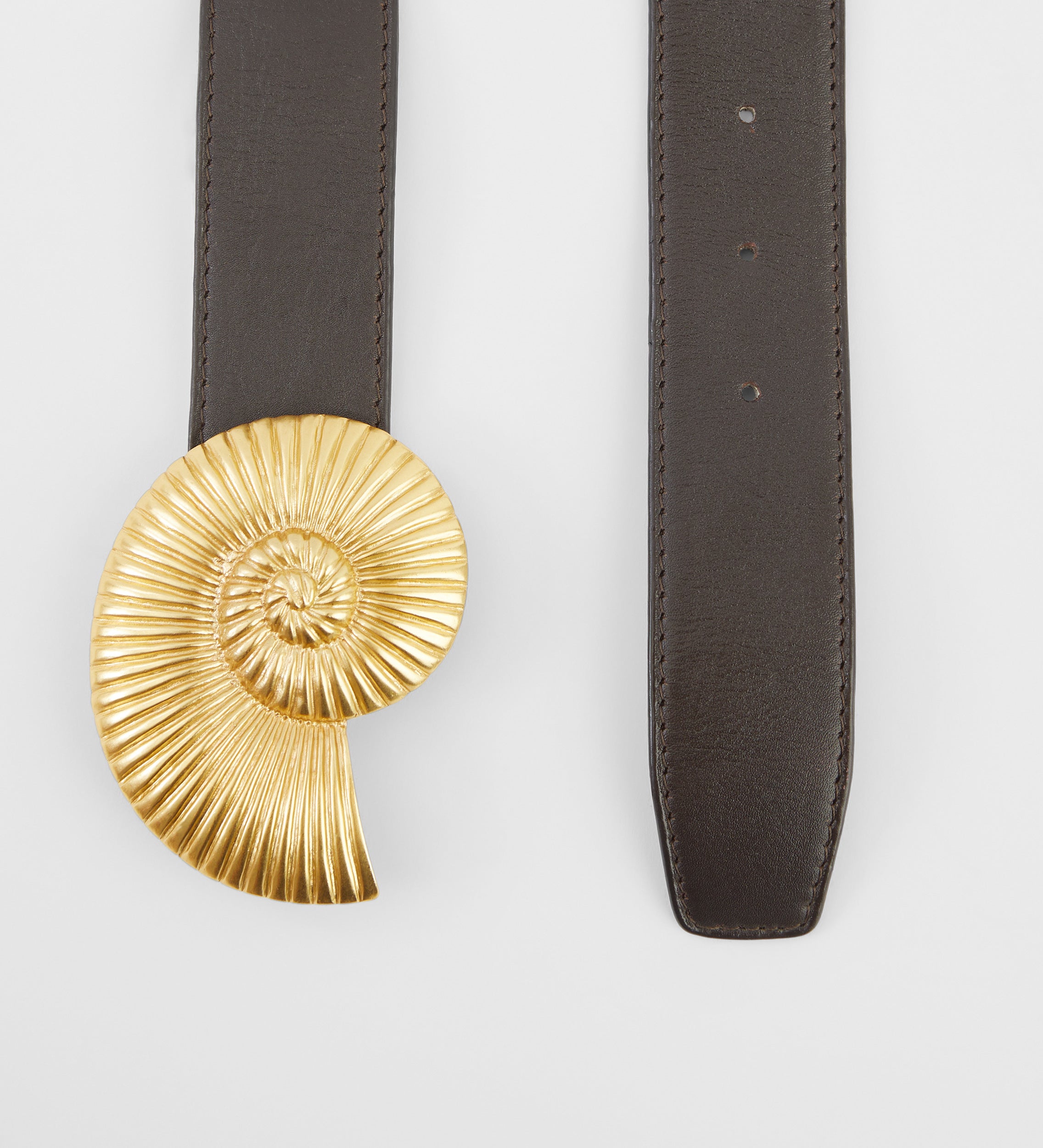 Ammonite buckle belt