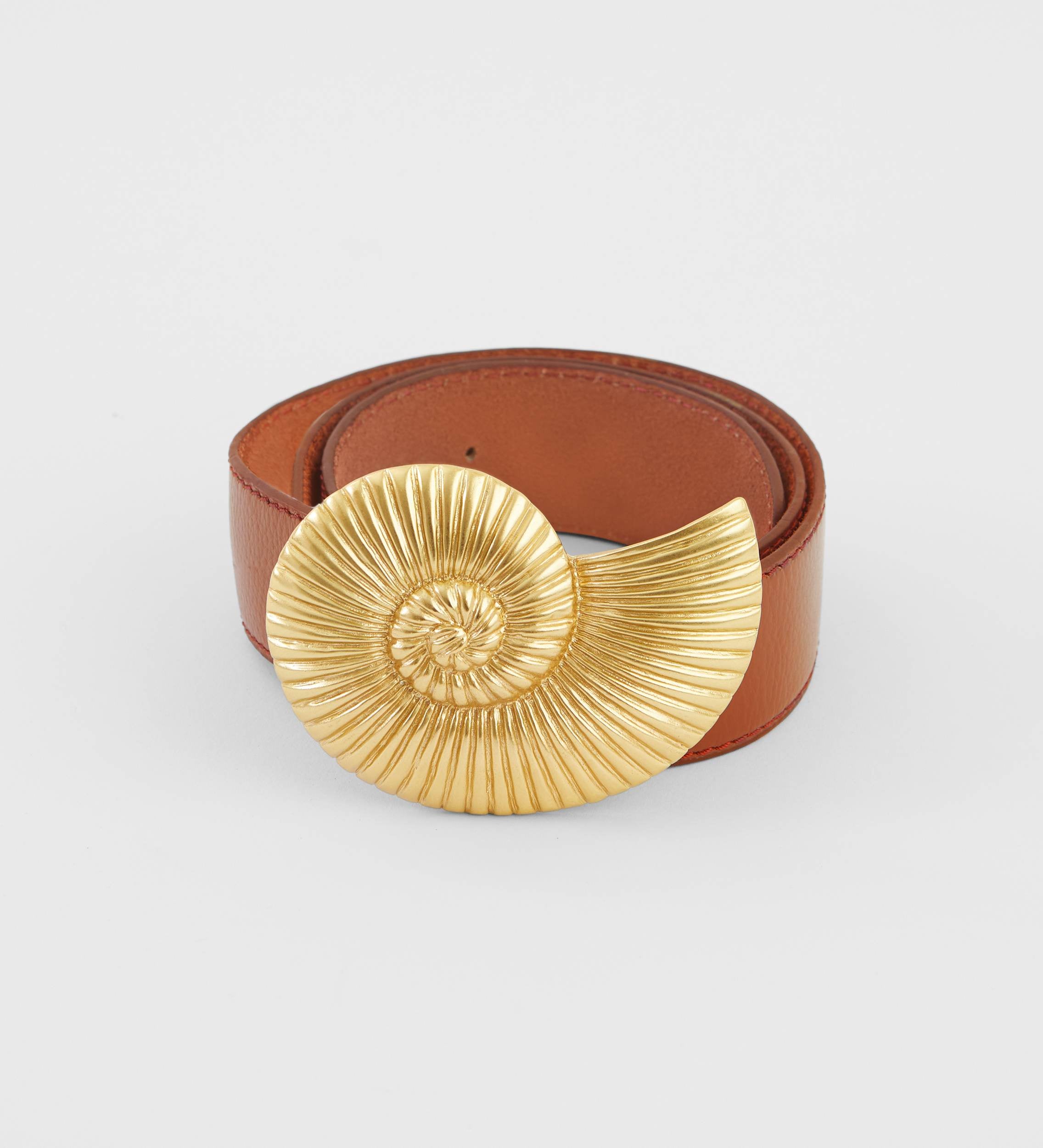 Ammonite buckle belt