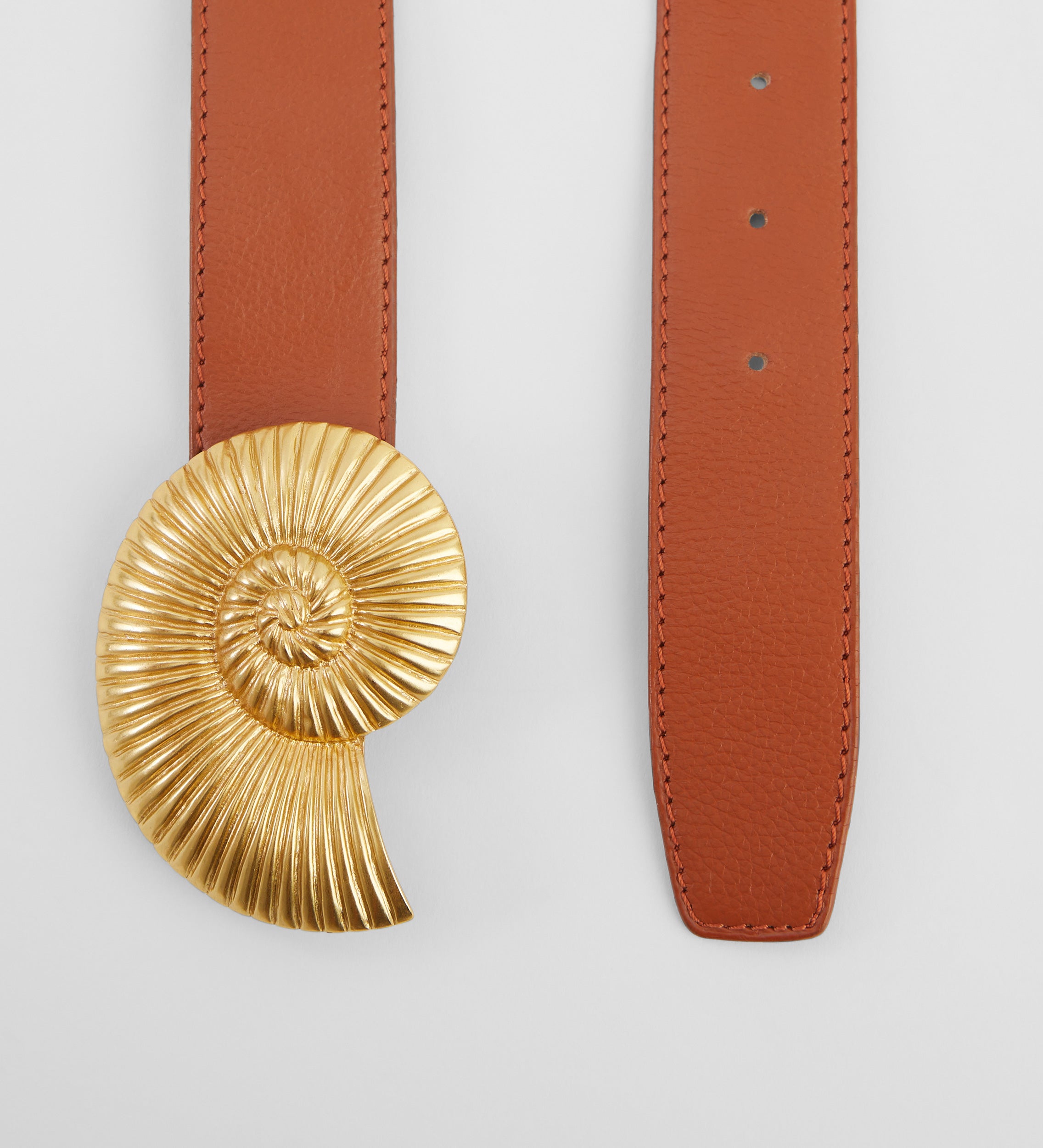 Ammonite buckle belt