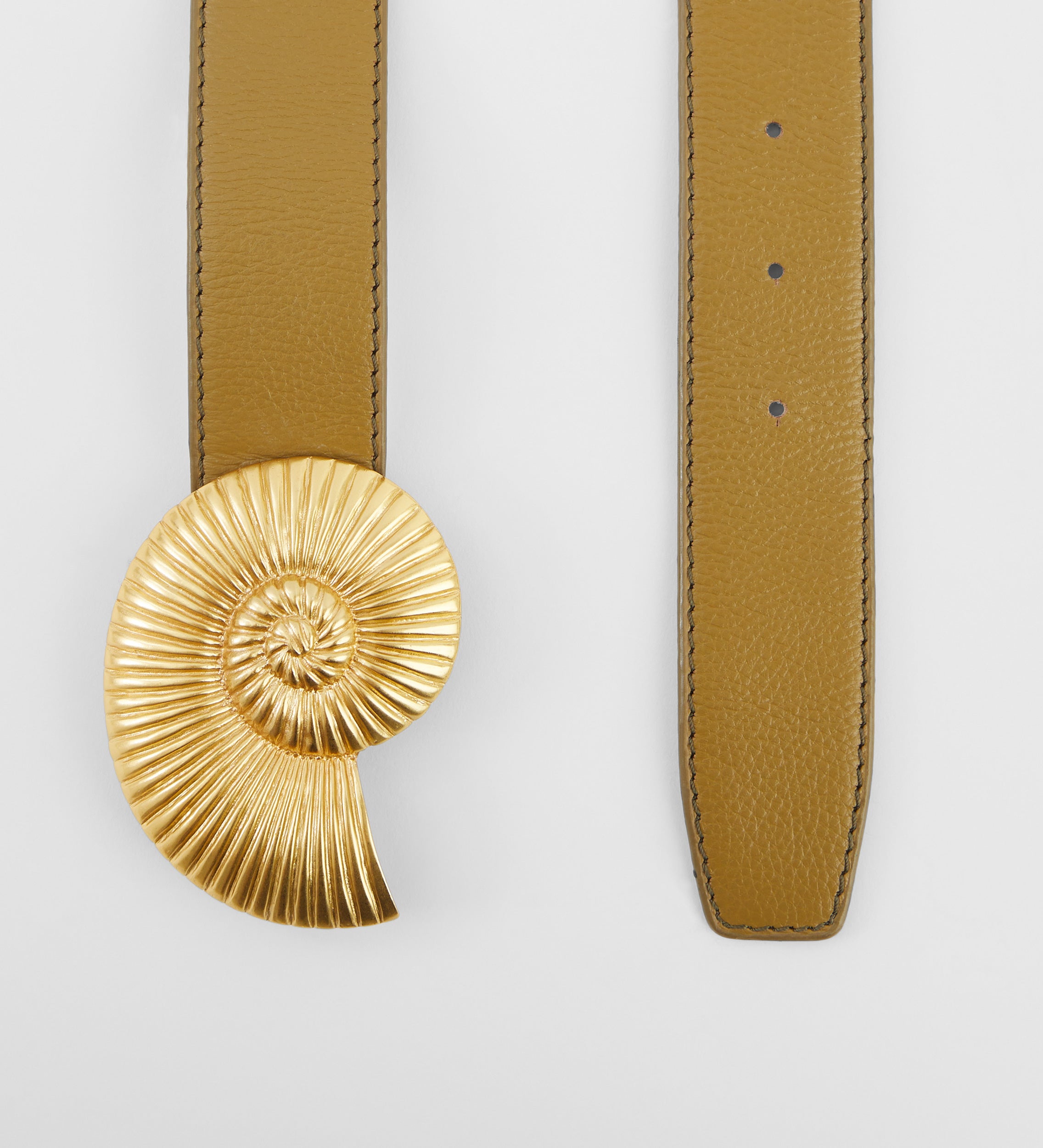 Ammonite buckle belt