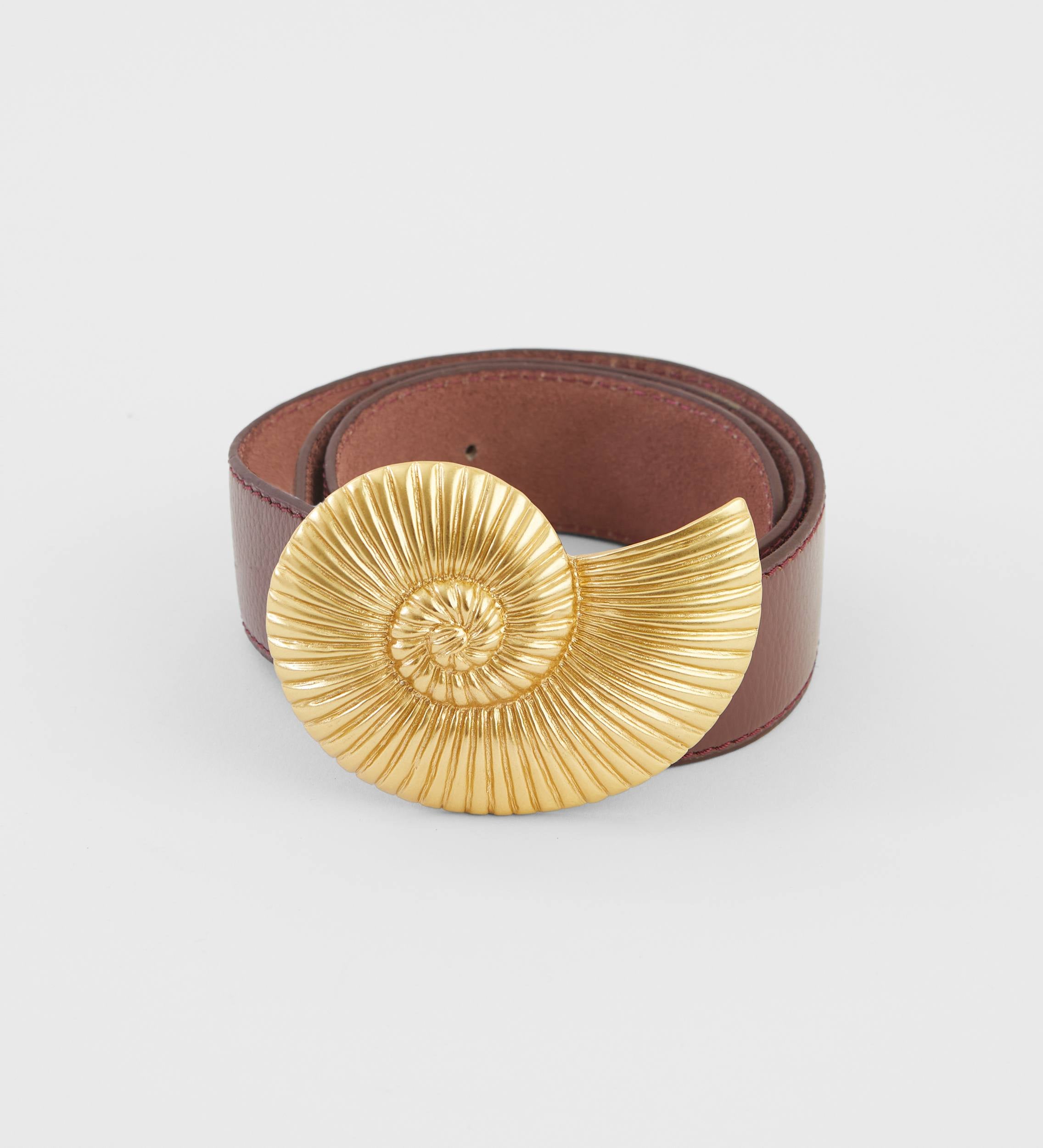 Ammonite buckle belt