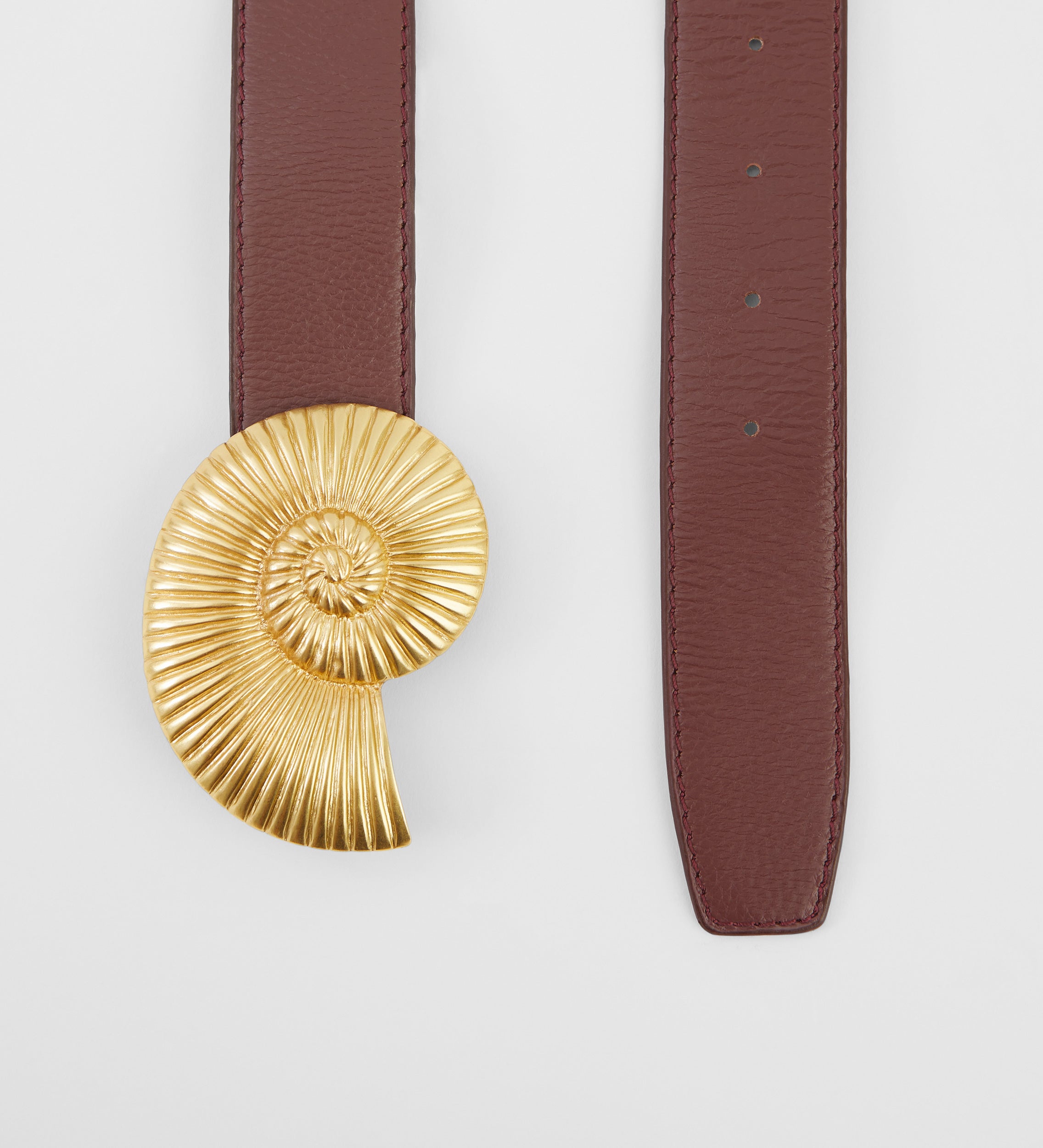 Ammonite buckle belt