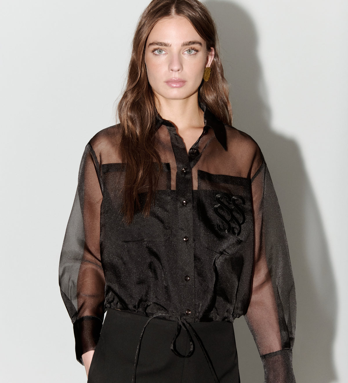 Organza crop blouse