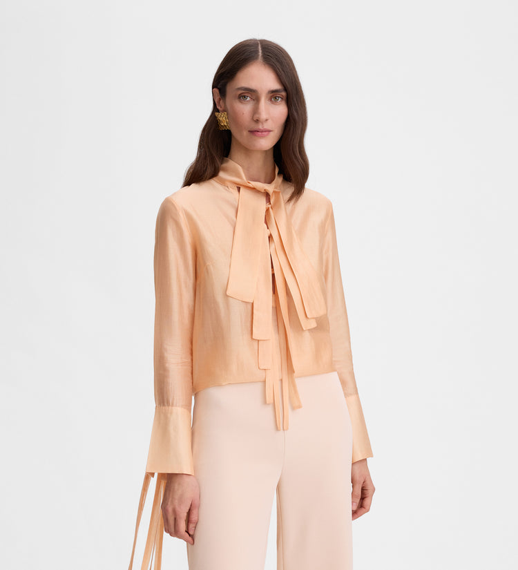 Blusa lazadas